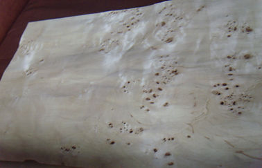 Datar Burled Wood Veneer Irisan Cut, konstruksional Ash Burl Veneer