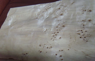 Alam Burl Furniture Veneer kayu Poplar dengan AA / / kelas AB