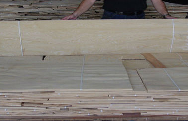Kuning abu Burl Veneer kayu furniture, ketebalan 0.5 mm