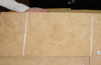 Putih abu Burl Veneer kayu dengan tehnik memotong irisan