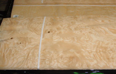 Konstruksi Burl kenari Veneer kayu kuning dengan ketebalan 0.50mm