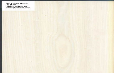 Maple direkayasa Veneer kayu
