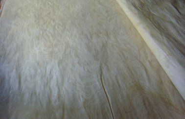 Susu Putih Laminated Rotary Cut Maple Veneer Kayu Lapis Lembar 8x4