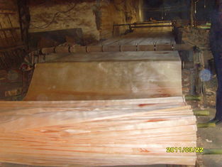 Alam kuning Okoume Rotary memotong Veneer kayu untuk permukaan mebel