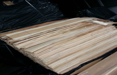 Konstruksi Alam Thin Birch Wood Veneer Engineered Prefinished