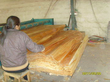Veneer kayu furnitur Birch