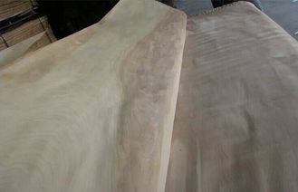 Natural Rotary Cut Birch memotong veneer kayu A Grade Untuk Furniture