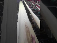 Veneer White Ash Amerika