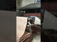 Lembar Veneer Potong Putar PLB Kayu Alami