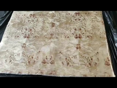 Poplar Burl Veneer Kelas A