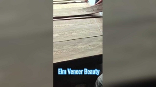 Veneer potongan Elm Crown