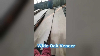 Potongan Mahkota Veneer Ek Putih Amerika