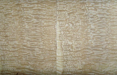 Kuning abu Burl Veneer kayu, 0.50 mm ketebalan Veneer kayu alami