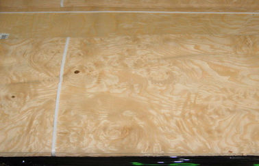 Putih abu Burl Veneer kayu dengan tehnik memotong irisan