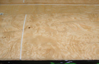Kuning abu Burl Veneer kayu furniture, ketebalan 0.5 mm