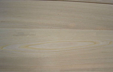 Elm coklat mahkota memotong Veneer, Veneer kayu alami 0.3 mm - 0.6 mm