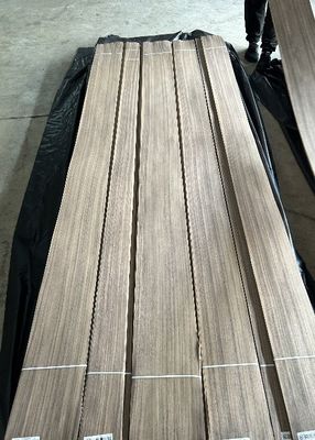 Lembar veneer cetakan setengah potong dengan ketebalan 0,2 mm untuk kayu lapis