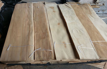 Konstruksi Alam Thin Birch Wood Veneer Engineered Prefinished