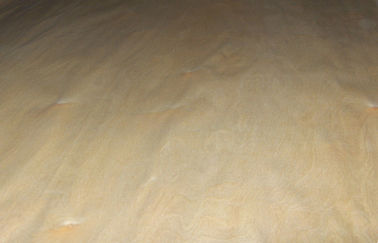 Putih / Brown Birch Rotary Cut Wood Veneer, Quilted Maple Veneer