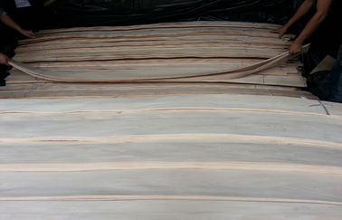 AA kelas Bleached / White Birch Wood Veneer Rotary Cut konstruksional