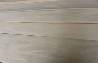Kuartal Cut Birch Wood Veneer