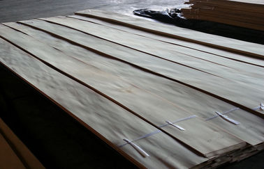 Dekoratif Alam Birch Plywood Veneer Dengan Crown Cut Grain