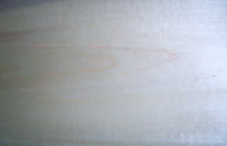 Kelas tinggi Birch Veneer kayu Poles sepihak dekorasi dengan Rotary memotong