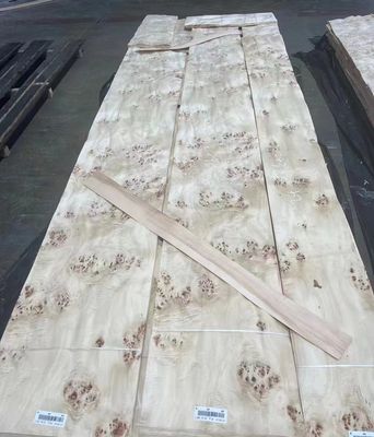 Lembar Veneer Burl Poplar Berpotongan A Grade Untuk Dekorasi Furnitur