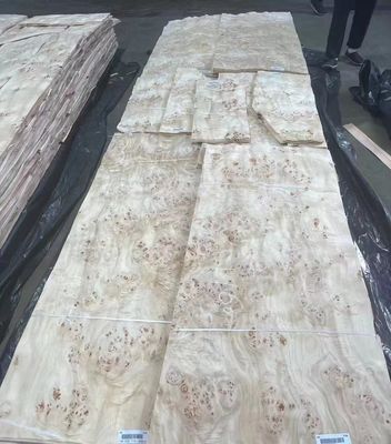 Lembar Veneer Burl Poplar Berpotongan A Grade Untuk Dekorasi Furnitur