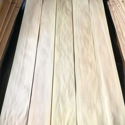 Lembaran veneer kayu karet alami berkualitas terbaik untuk dekorasi