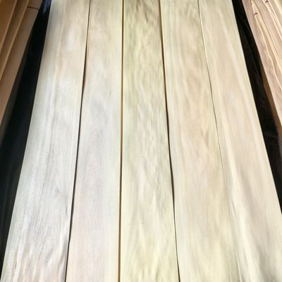 Lembaran veneer kayu karet alami berkualitas terbaik untuk dekorasi