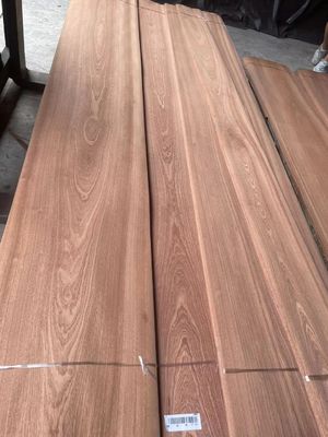 Lembaran Veneer Sapelli Potongan Polos/Cutting Mahkota Alami untuk Kayu Lapis