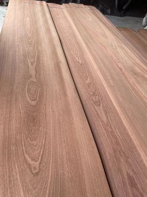 Lembaran Veneer Sapelli Potongan Polos/Cutting Mahkota Alami untuk Kayu Lapis