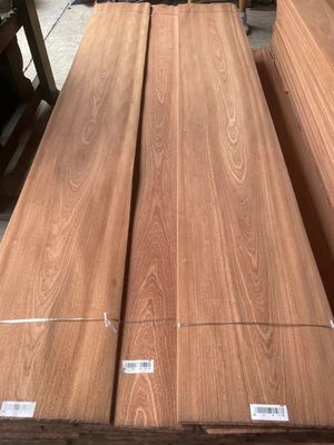 Lembaran Veneer Sapelli Potongan Polos/Cutting Mahkota Alami untuk Kayu Lapis