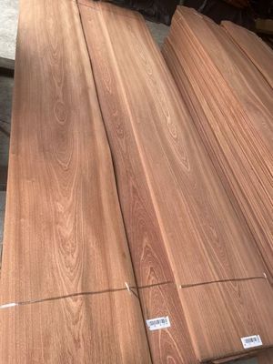 Lembaran Veneer Sapelli Potongan Polos/Cutting Mahkota Alami untuk Kayu Lapis