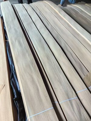 Kualitas Tinggi Rusia Elm Quarter Cut Veneer Sheet Untuk Furnitur