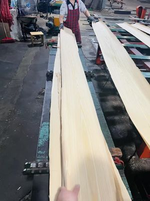 AAA Grade Natural Wood Veneer Ash Wood Veneer for Sliding Door Sliding Door