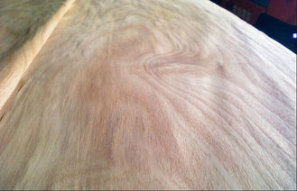 Alam Rotary memotong Okoume lembaran Veneer / kayu veneer gandum dengan Ab kelas