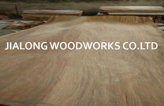 Gurjan Kayu Rotary Cut Alam Wajah Veneer Lembar Untuk Plywood