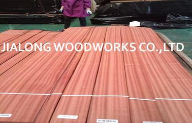 Lurus Grain Alam Irisan Sapele Wood Veneer kayu lapis Lembar