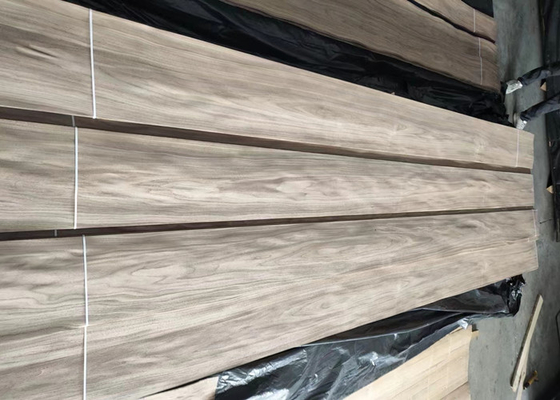 Irisan Crown Cut American Walnut Wood Veneer Sheet Untuk Furnitur